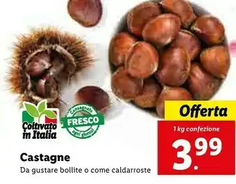 Lidl castagne