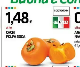 Superconti Coop cachi polpa soda offerta