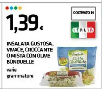 Insalata gustosa/ vivace/ croccante/ mista con olive
