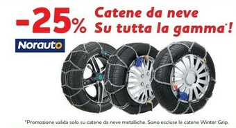 Catene da neve