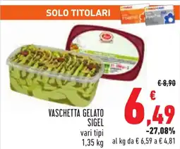 Conad VASCHETTA GELATO SIGEL vari tipi 1,35 kg offerta