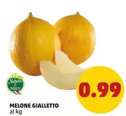 PENNY MELONE GIALLETTO offerta