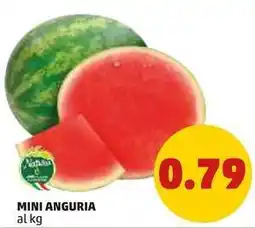 PENNY MINI ANGURIA offerta