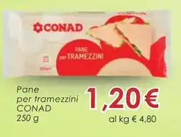 Conad Pane per tramezzini CONAD 250 g offerta