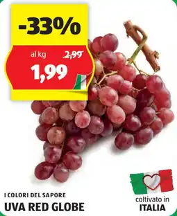 ALDI I COLORI DEL SAPORE UVA RED GLOBE offerta