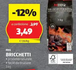 ALDI BBQ BRICCHETTI offerta