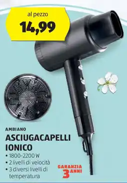ALDI AMBIANO ASCIUGACAPELLI IONICO offerta
