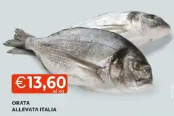 Mercatò ORATA ALLEVATA ITALIA offerta