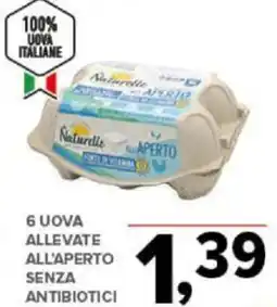 6 UOVA ALLEVATE ALL'APERTO SENZA ANTIBIOTICI