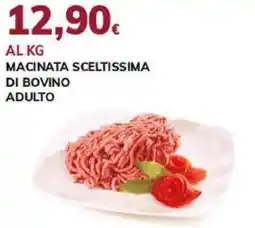 Basko MACINATA SCELTISSIMA DI BOVINO ADULTO offerta