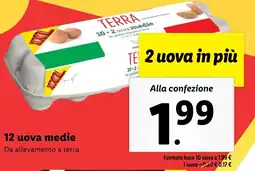 Lidl 12 uova medie Da allevamento a terra offerta