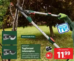 Tagliarami telescopico Lama in acciaio e bracci telescopici regolabili su 5 lunghezze (64-85 cm)