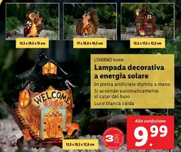 Lidl LIVARNO home Lampada decorativa a energia solare offerta