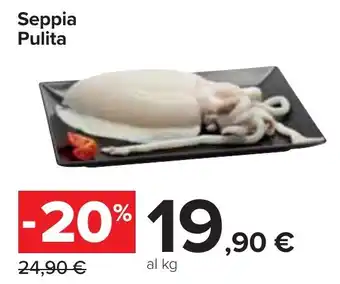 Carrefour Seppia Pulita offerta