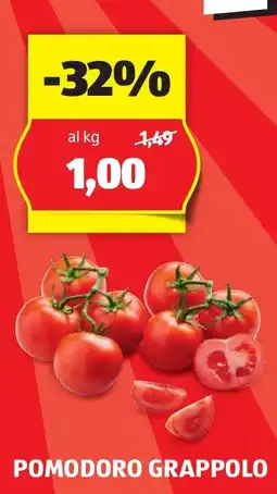 ALDI POMODORO GRAPPOLO offerta