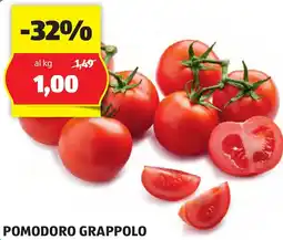 ALDI POMODORO GRAPPOLO offerta