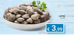 Eté LUPINI offerta