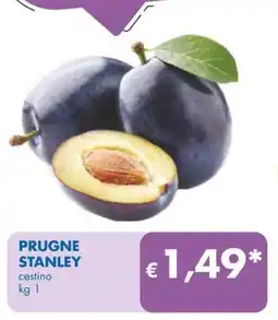 PRUGNE STANLEY cestino kg 1