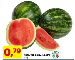 DPiù Angurie senza semi offerta