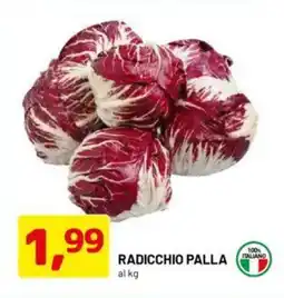 DPiù Radicchio palla offerta