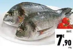 Conad ORATE offerta