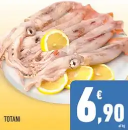 Conad TOTANI offerta