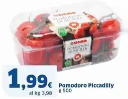 Sigma Pomodoro Piccadilly offerta