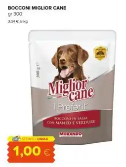 Tigre Bocconi miglior cane offerta