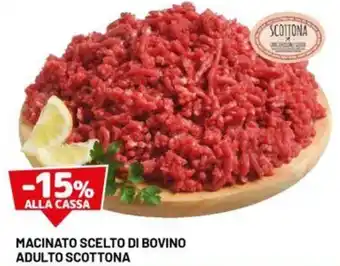 DPiù Macinato scelto di bovino adulto scottona offerta