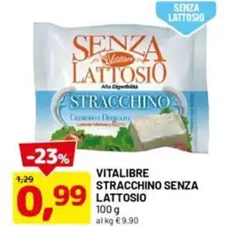 DPiù Vitalibre stracchino senza lattosio offerta