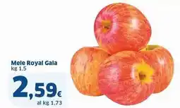 Sigma Mele Royal Gala offerta