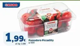 Sigma Pomodoro Piccadilly offerta