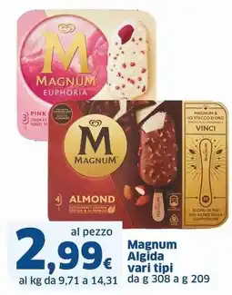 Sigma Magnum Algida offerta