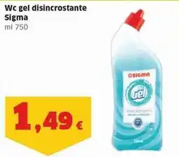 Wc gel disincrostante Sigma