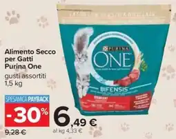 Carrefour Alimento Secco per Gatti Purina One offerta
