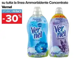 Carrefour su tutta la linea Ammorbidente Concentrato Vernel offerta