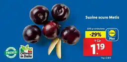 Lidl Susine scure Metis offerta