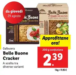 Lidl Galbusera Belle Buone Cracker offerta