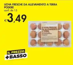 Bennet Uova fresche da allevamento a terra podere offerta