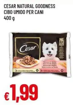Famila CESAR NATURAL GOODNESS CIBO UMIDO PER CANI offerta