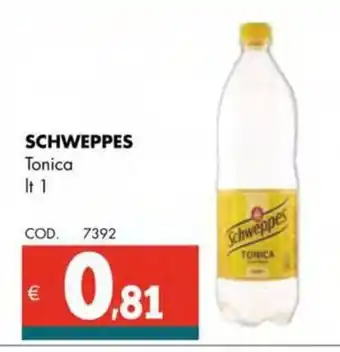 Altasfera SCHWEPPES Tonica offerta
