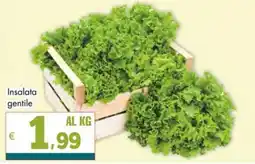 Altasfera Insalata gentile offerta