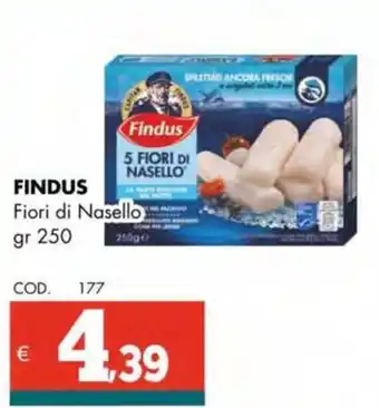 Altasfera FINDUS Fiori di Nasello offerta