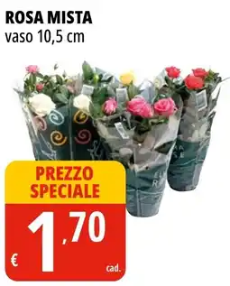 Tigros Rosa mista offerta