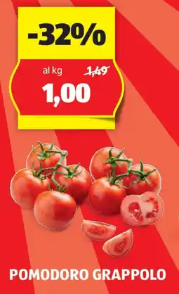 ALDI Pomodoro grappolo offerta
