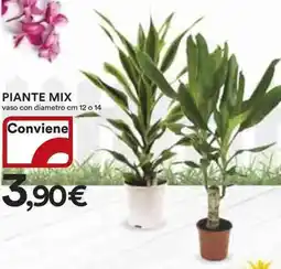 Ipercoop Piante mix offerta