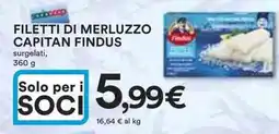 Ipercoop Filetti di merluzzo CAPITAN FINDUS offerta