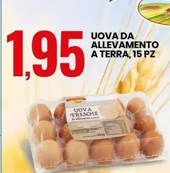 Eurospin Tre mulini uova da allevamento a terra offerta