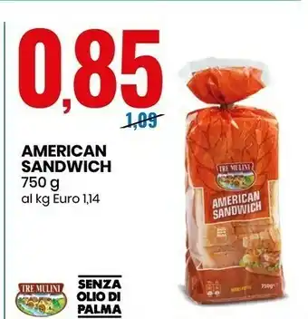 American sandwich 750 g(ml)