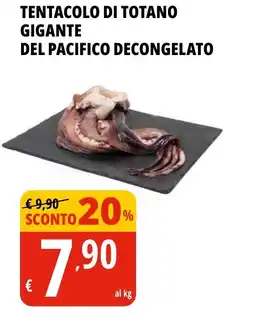 Tigros Tentacolo di totano gigante del pacifico decongelato offerta